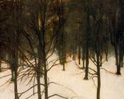 威尔汉姆 哈莫修依 : Winter Landscape